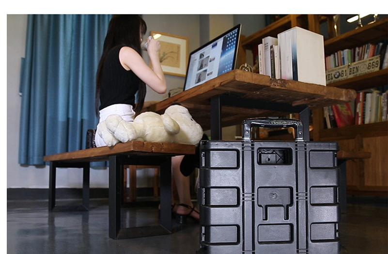 Car trunk organizer trolley