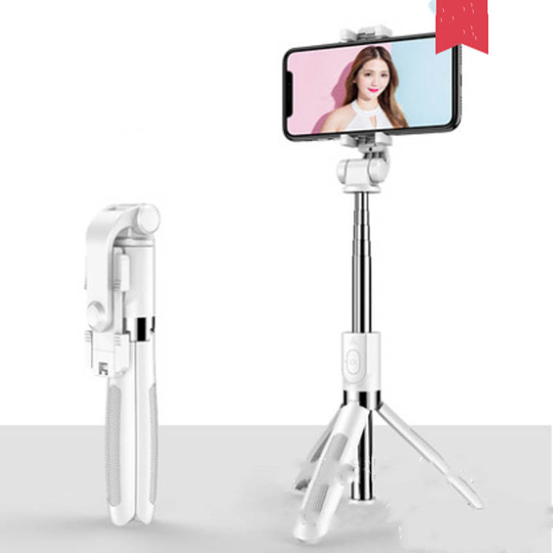 Selfie stick with remote