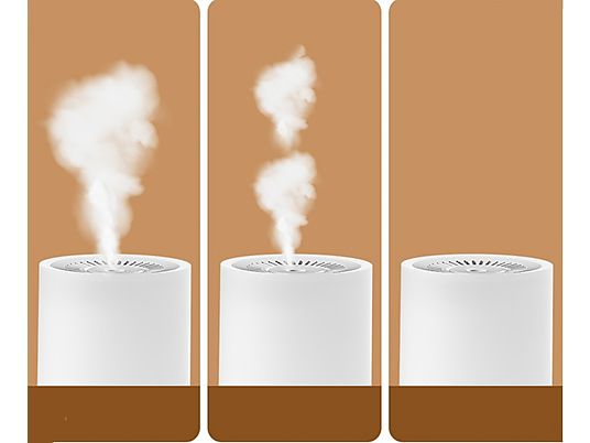 Desk lamp with aroma diffuserand speaker