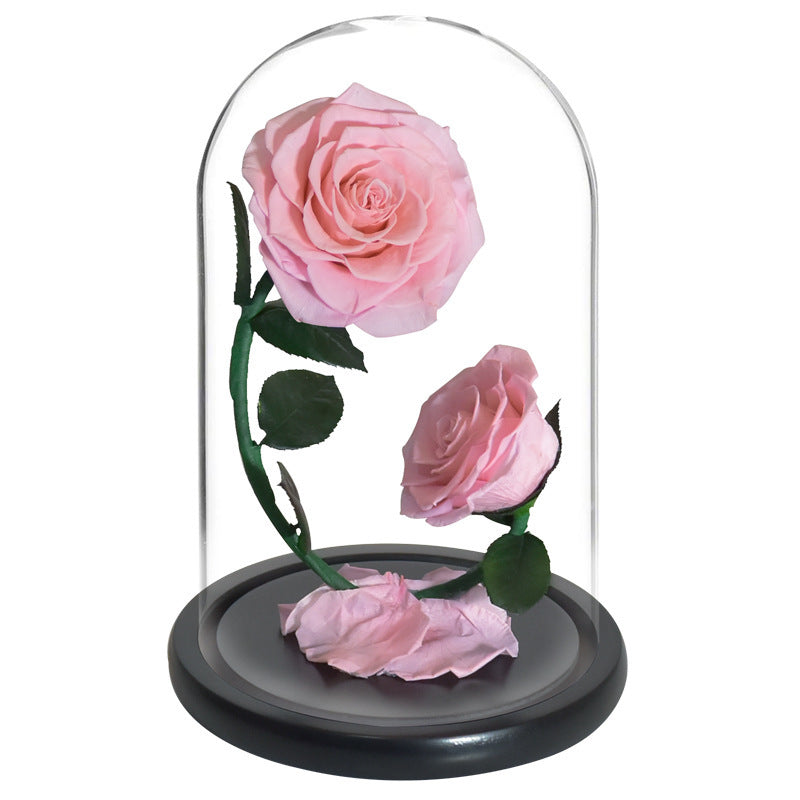 Roses in glass dome