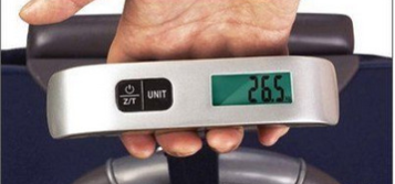 Portable electronic scale for luggage