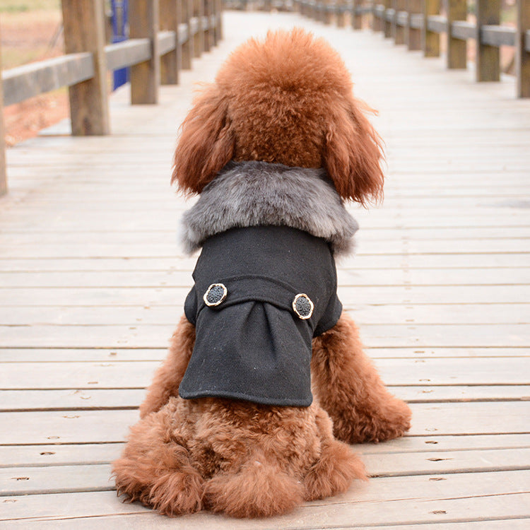 Winter coat for small dogs