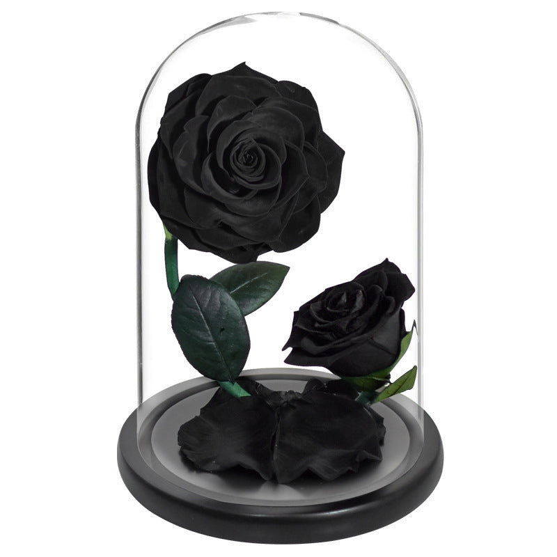 Roses in glass dome