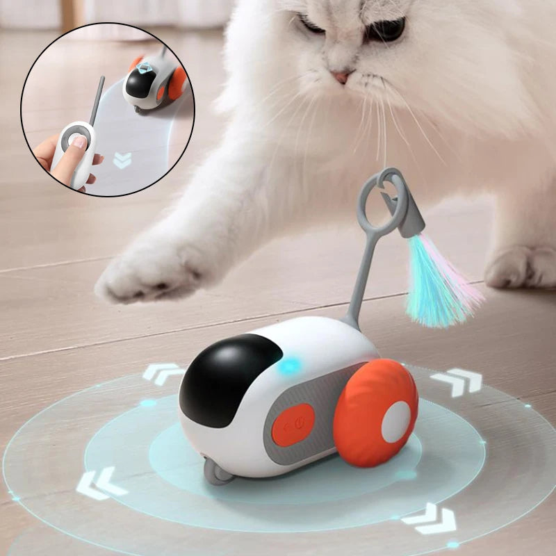 Interactive cat toy with remote
