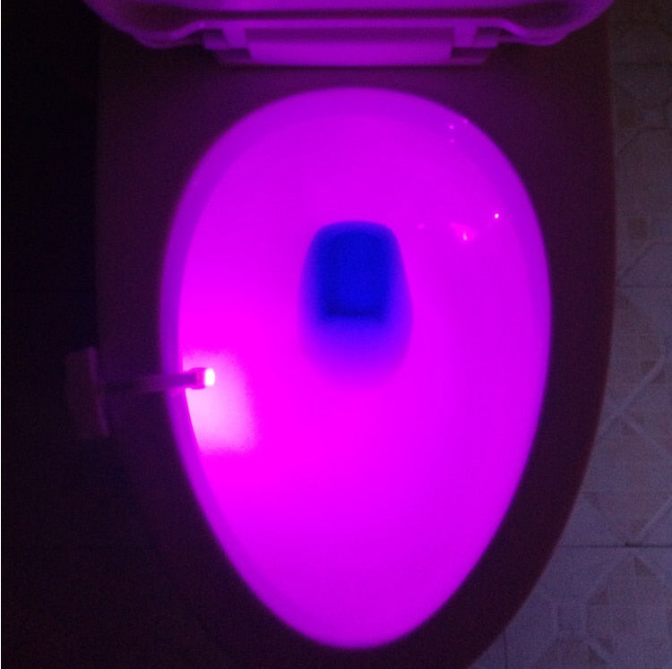 Toilet sensor lights