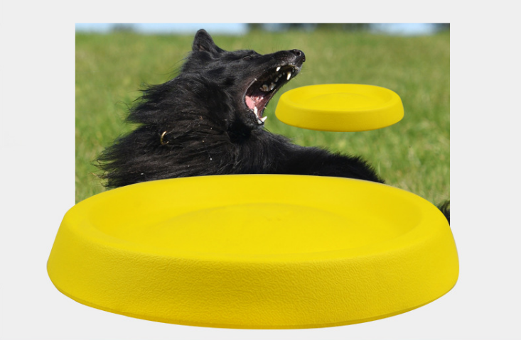 Frisbee for dogs