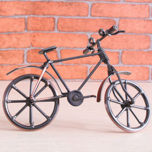 Bicycle model