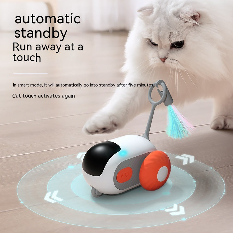 Interactive cat toy with remote