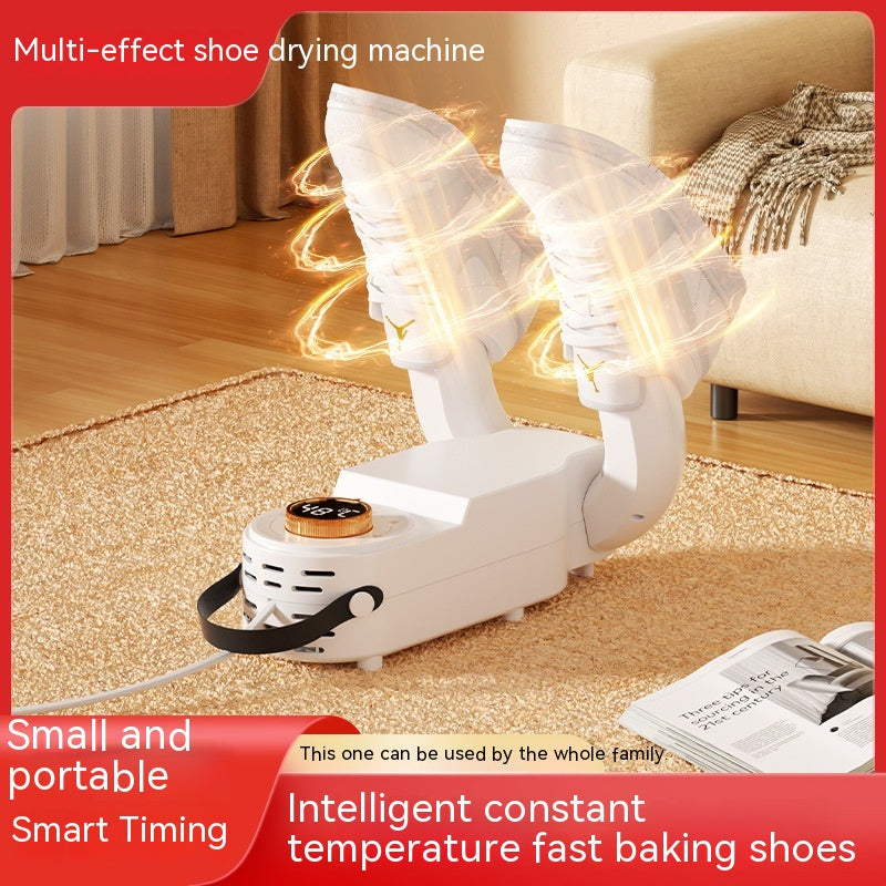 Shoe dryer with deodorizer