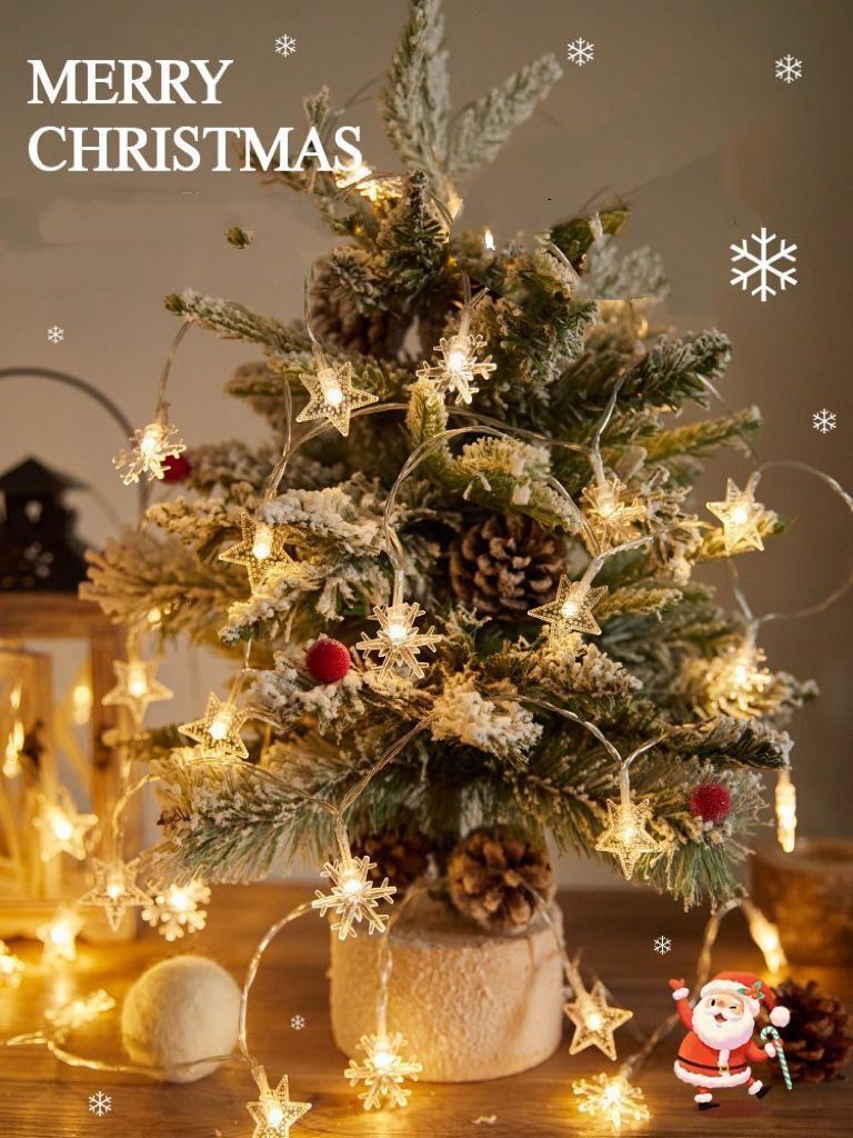 String lights star and snowflake