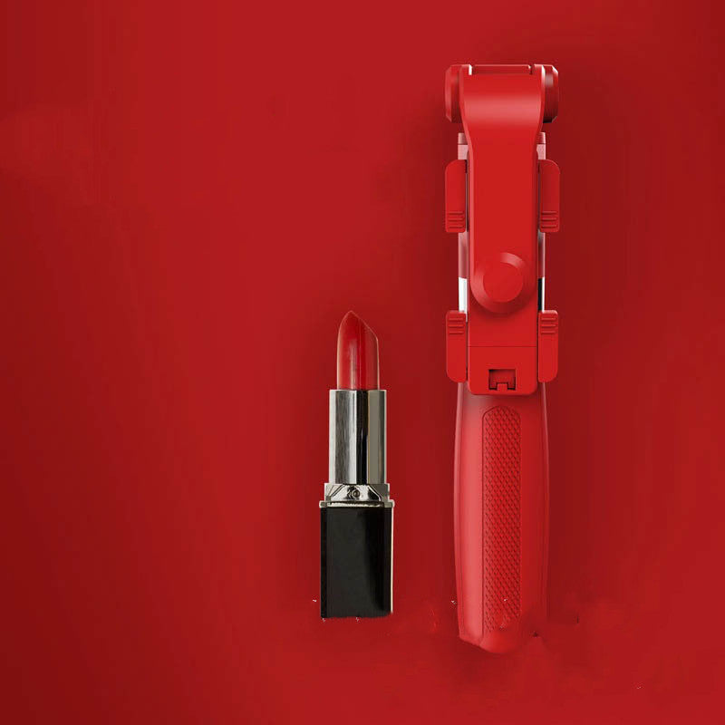 Selfie stick with remote