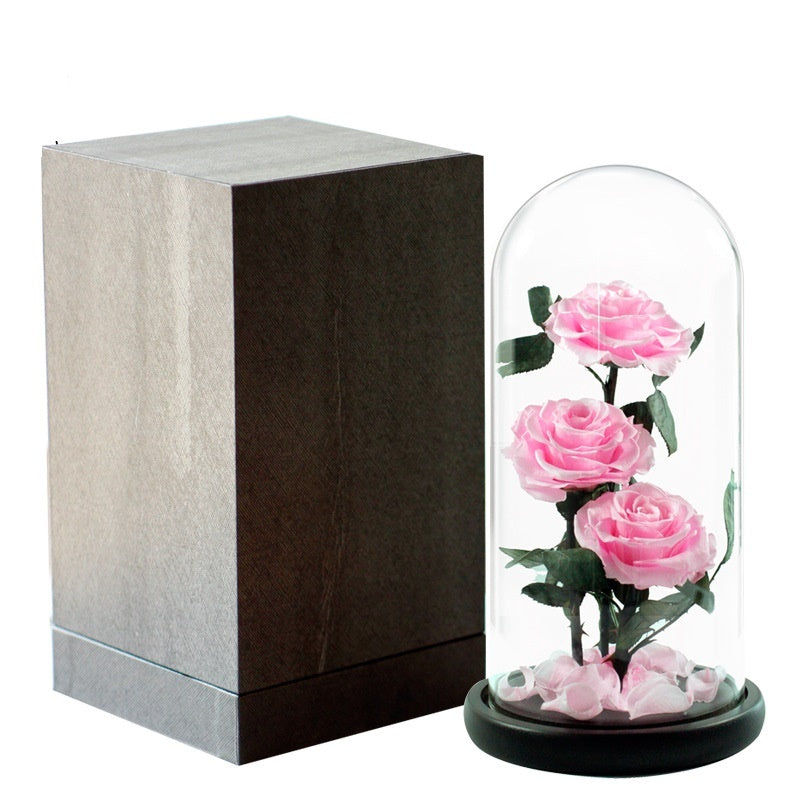 Roses in glass dome