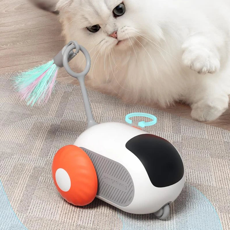 Interactive cat toy with remote