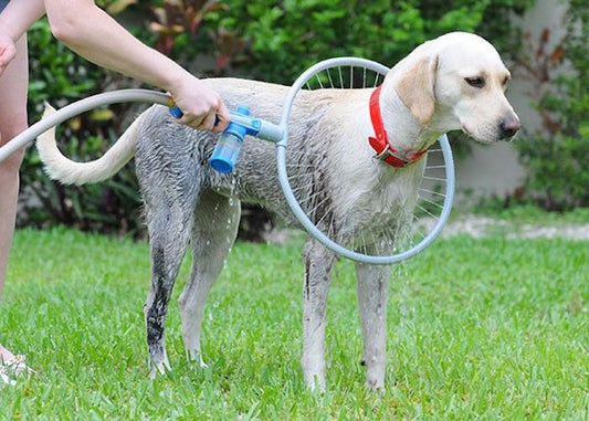 Dog washer ring 360 degree