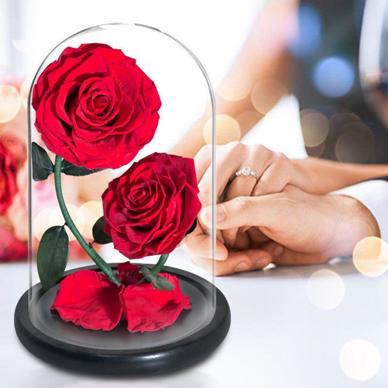 Roses in glass dome