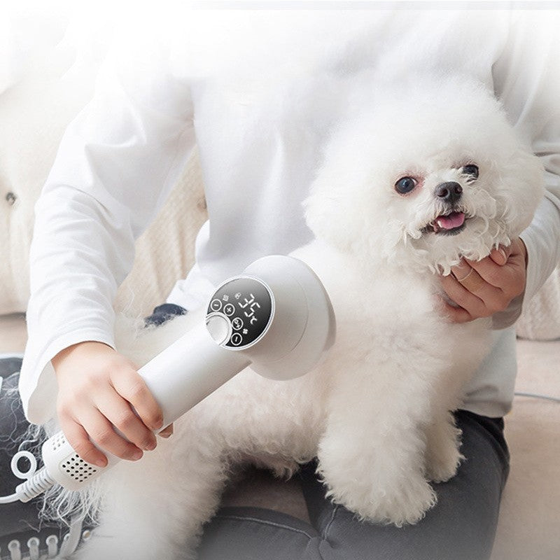 Hair dryer with comb for pets