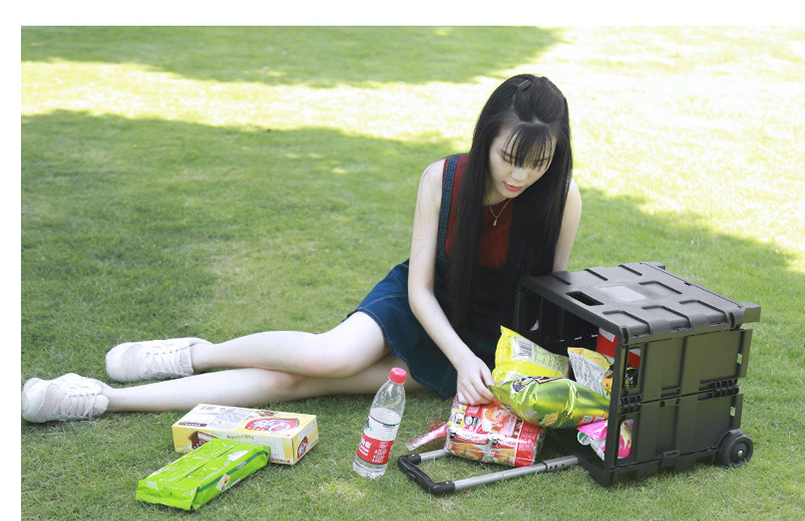 Car trunk organizer trolley