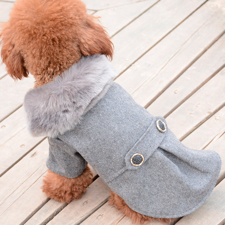 Winter coat for small dogs