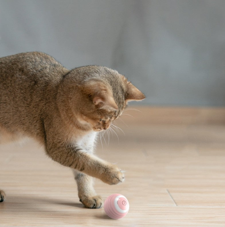 Automatic Cat Teasing Ball