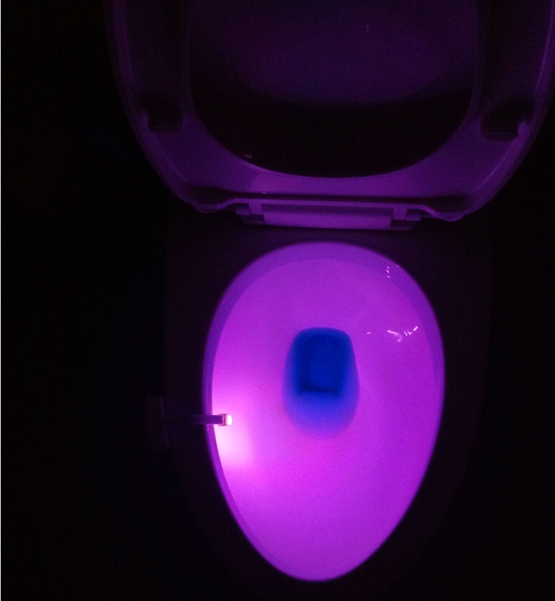 Toilet sensor lights