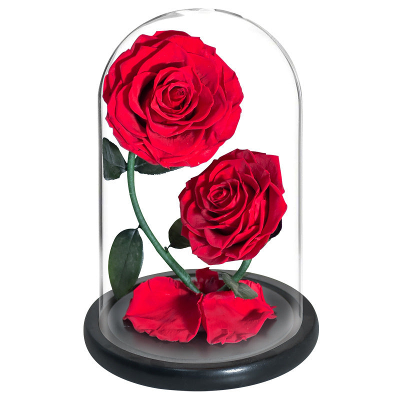 Roses in glass dome