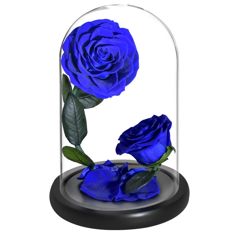 Roses in glass dome