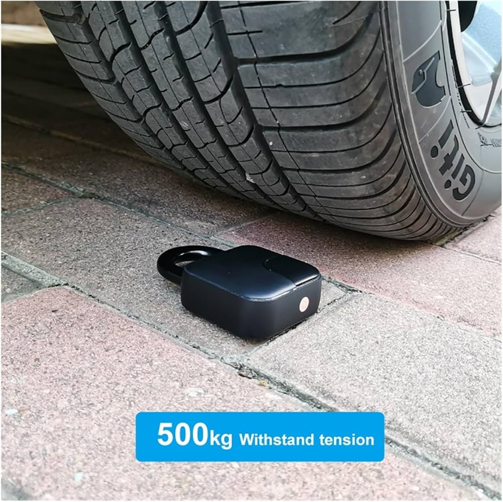 Lock with fingerprint