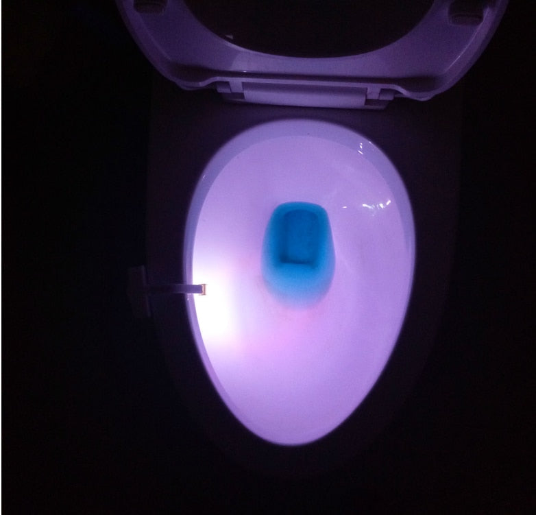 Toilet sensor lights