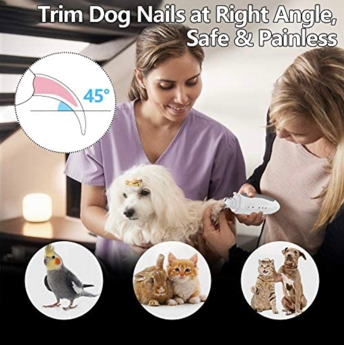 Electric nail grinder for pets