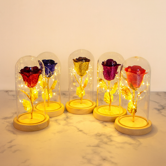 Eternal Rose in glass cover with LED