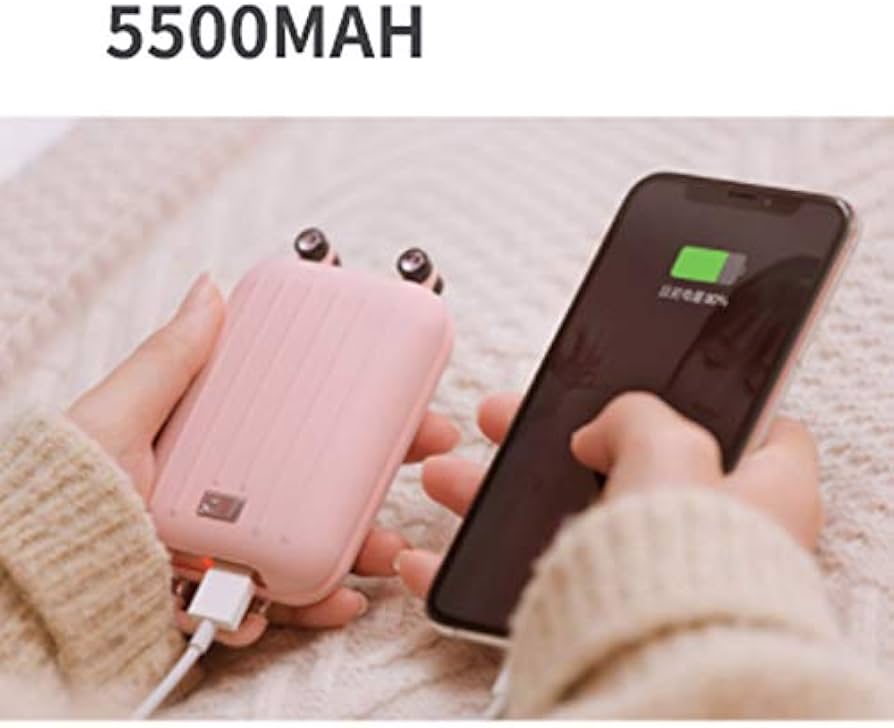 Hand warmers with PowerBank