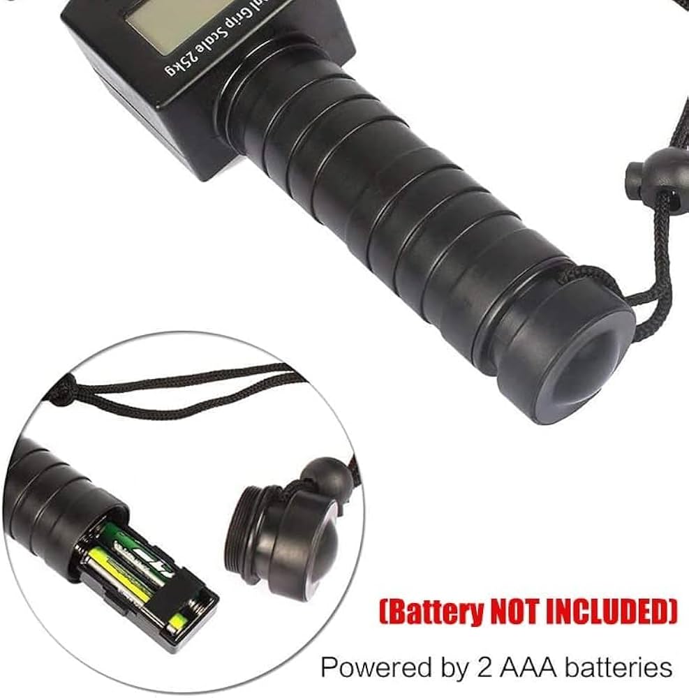 Electronic fish weigher