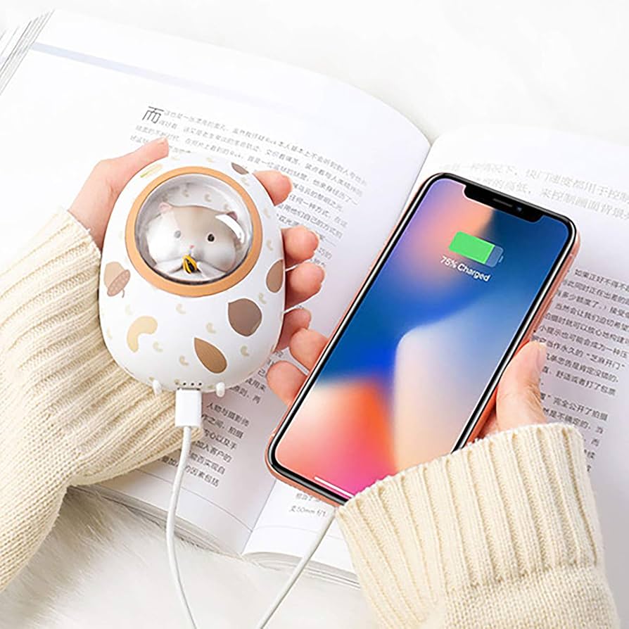 Hand warmer with PowerBank