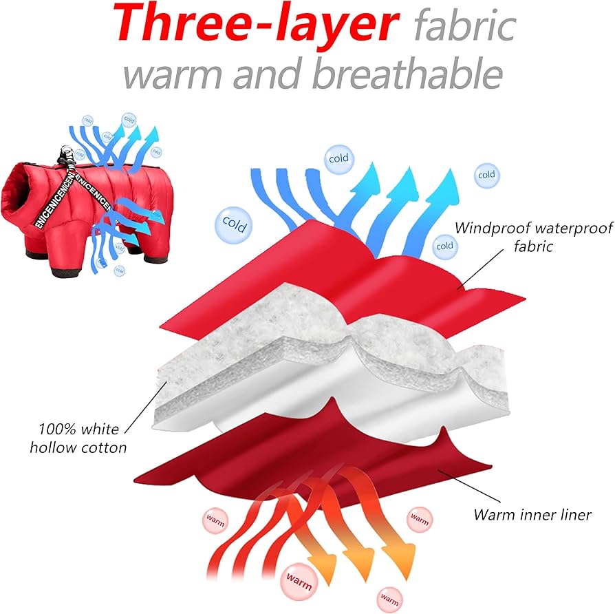 Winter clothing for dogs