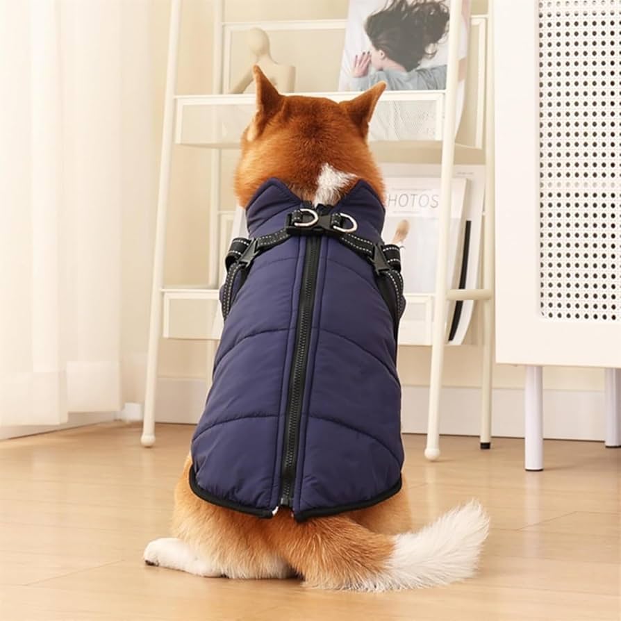 Vest for small dogs