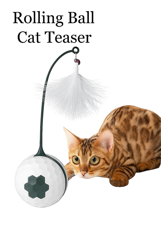 Automatic rolling ball cat teaser