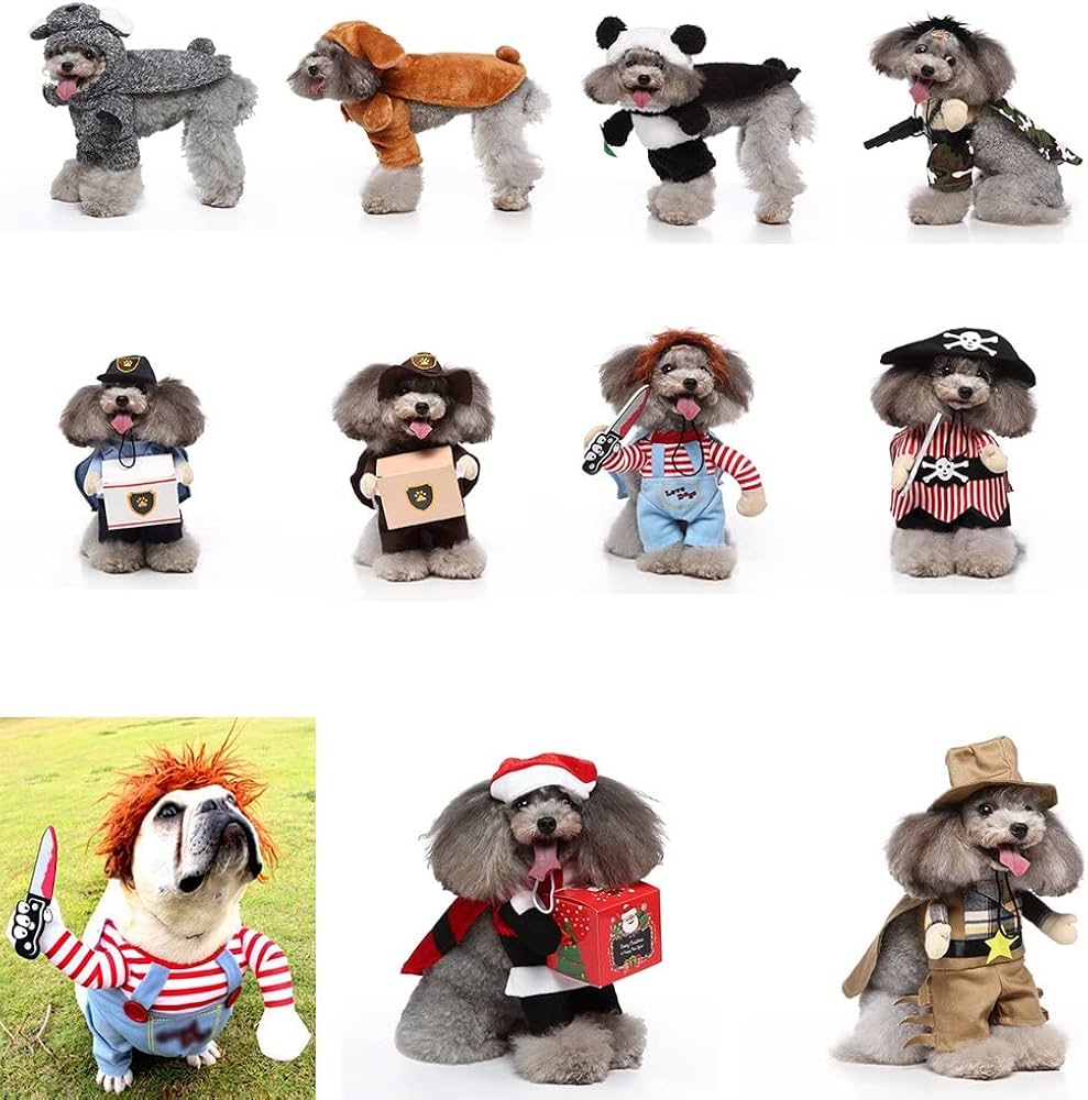 Costumes for small dogs