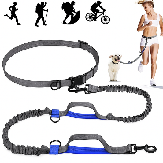 Hands-Free dog leash for joggers