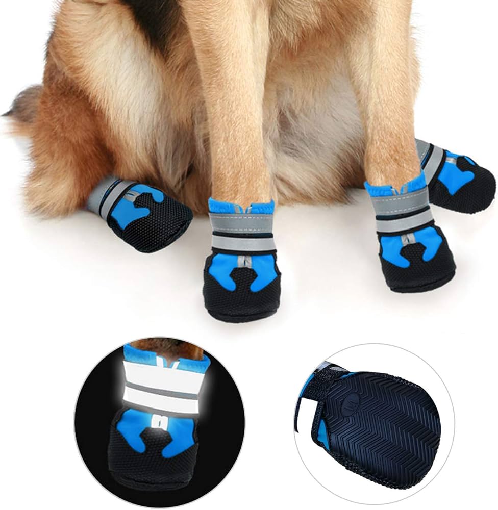 Comfortable dog shoes