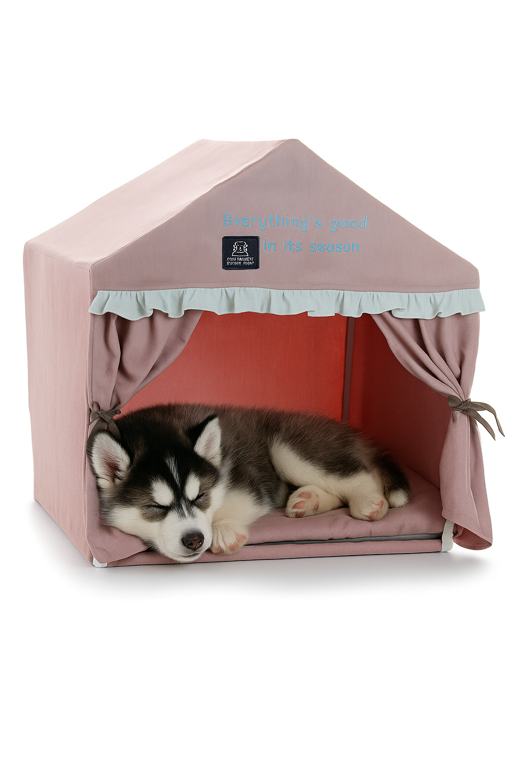 Cute dog house