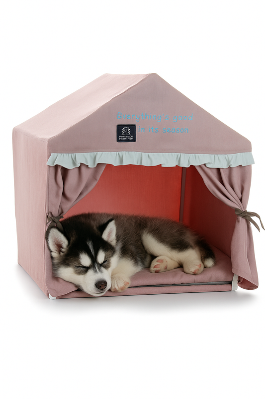 Cute dog house