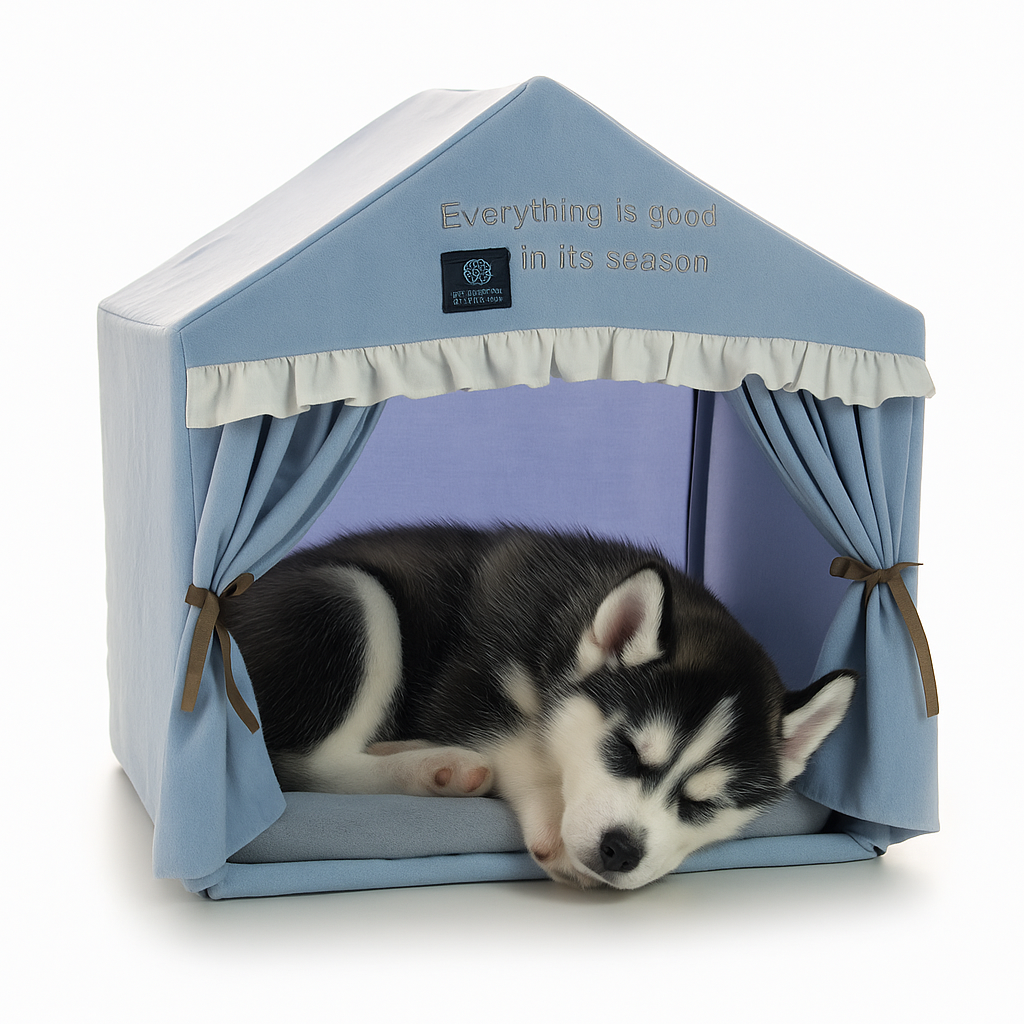 Cute dog house