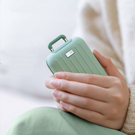 Hand warmers with PowerBank