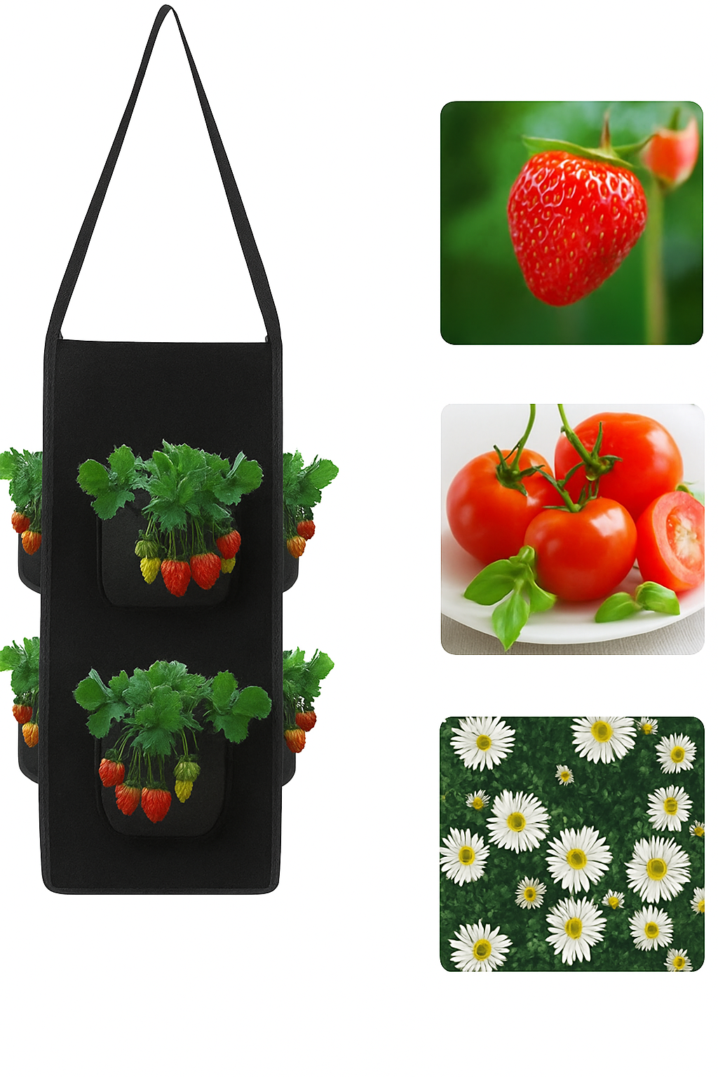 Planting bag for vegetables