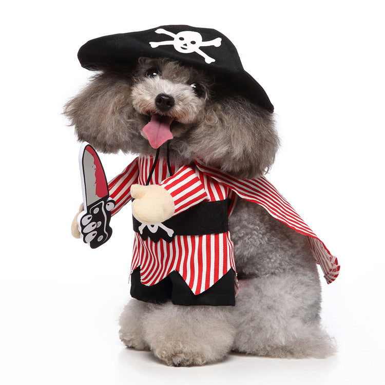 Costumes for small dogs