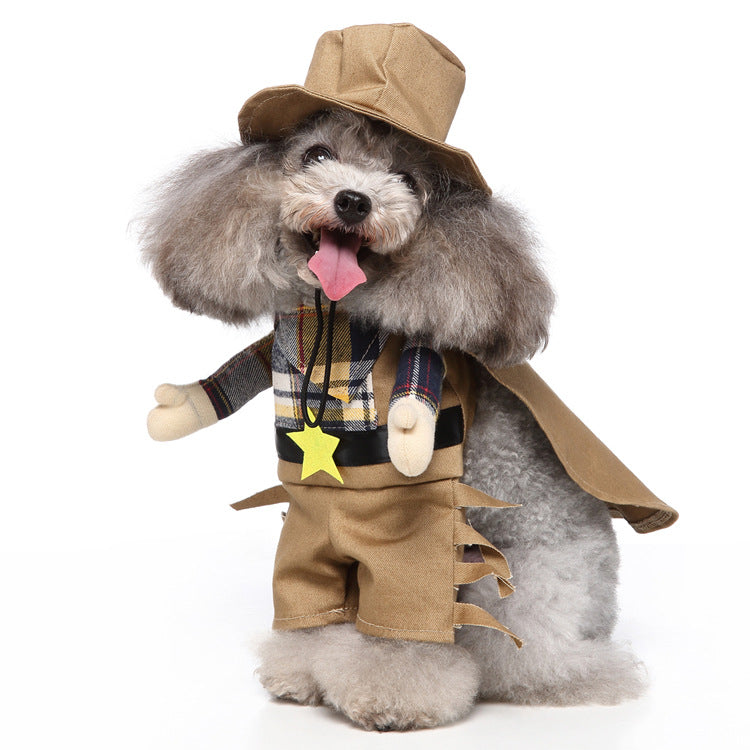 Costumes for small dogs