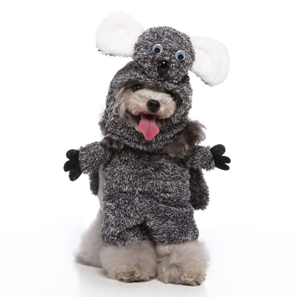 Costumes for small dogs
