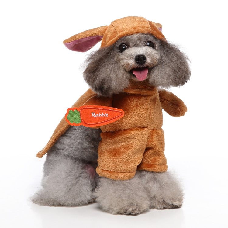 Costumes for small dogs