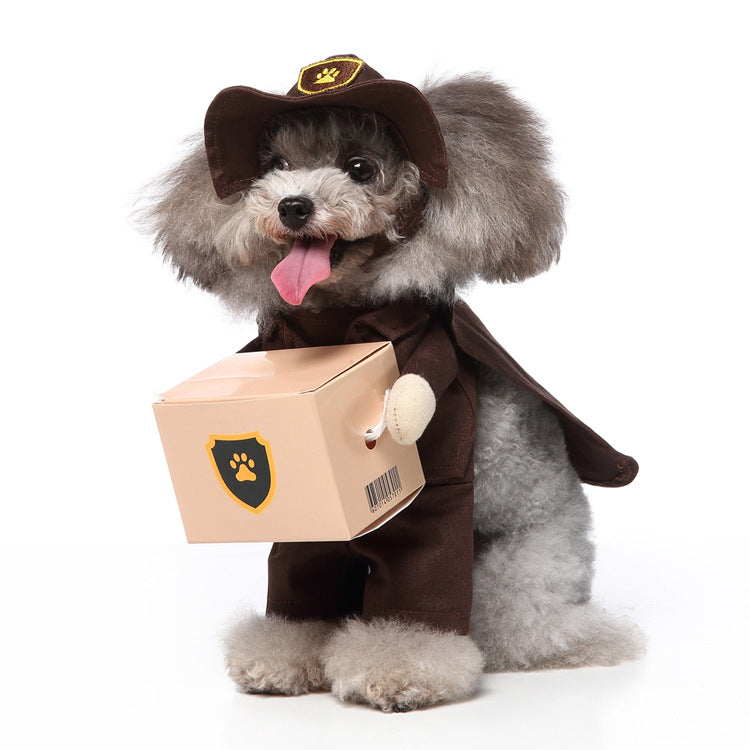 Costumes for small dogs
