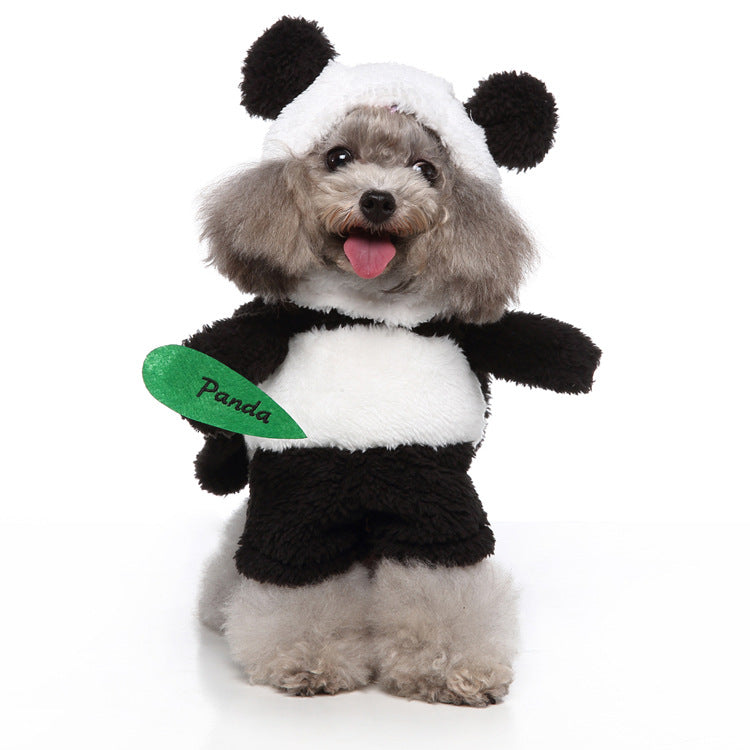 Costumes for small dogs